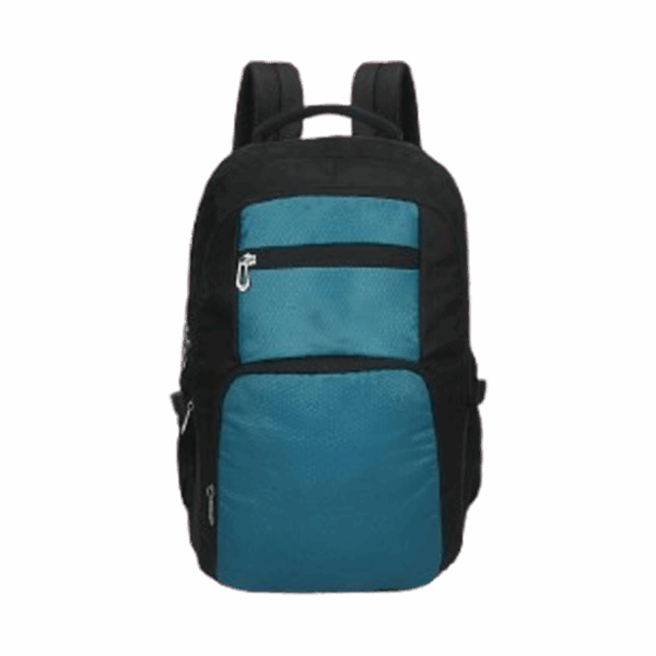Black & Teal Casual Backpack
